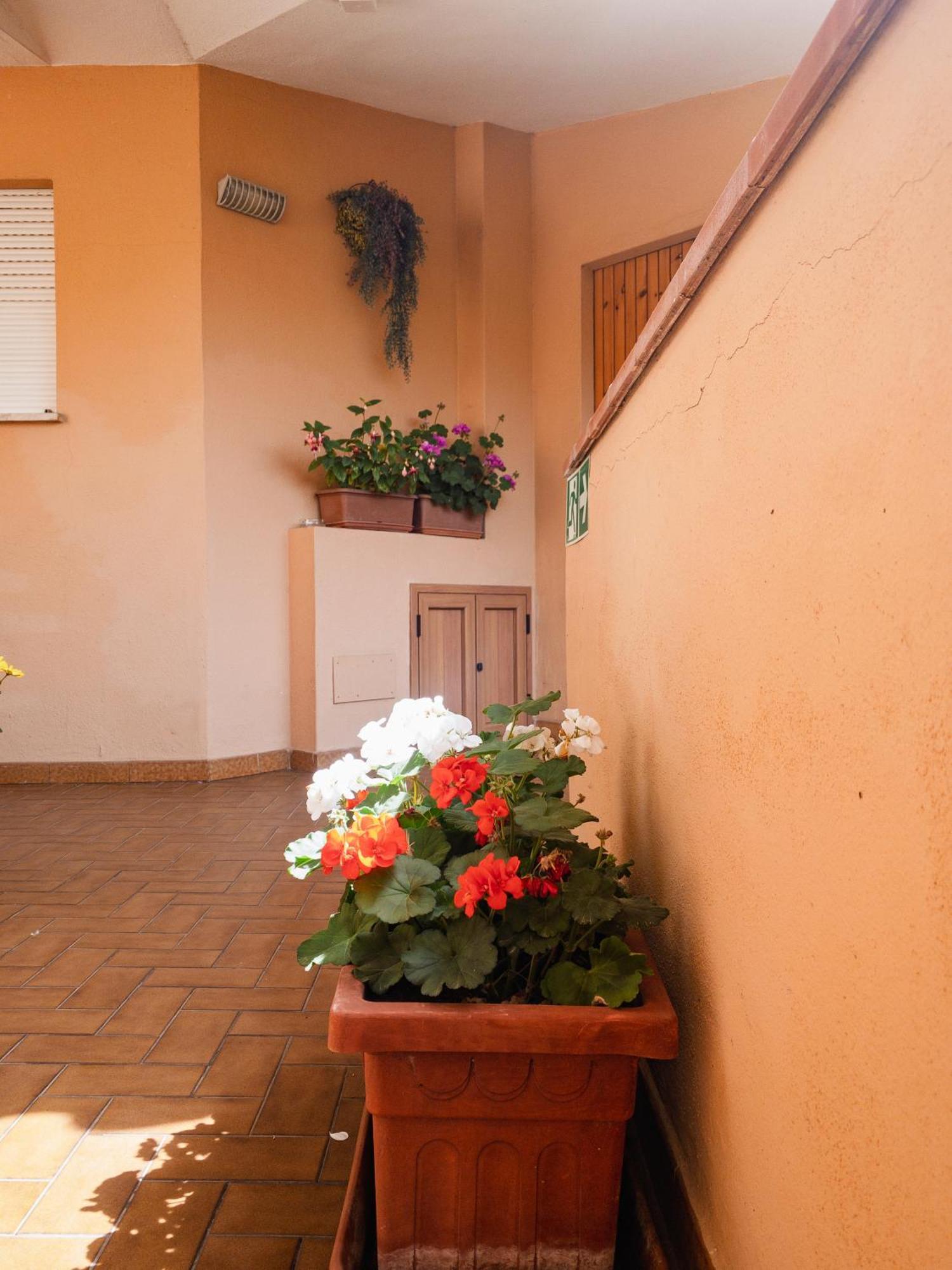 Donatella Hotel 3*
